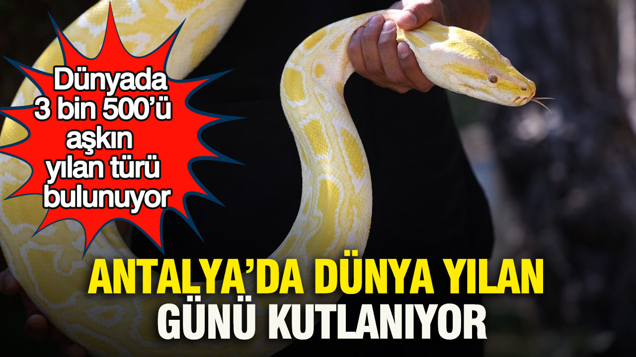 Antalyada dunya yilan gunu kutlaniyor dunyada 3 bin 500u askin yilan turu bulunuyor Yh1cBdfD