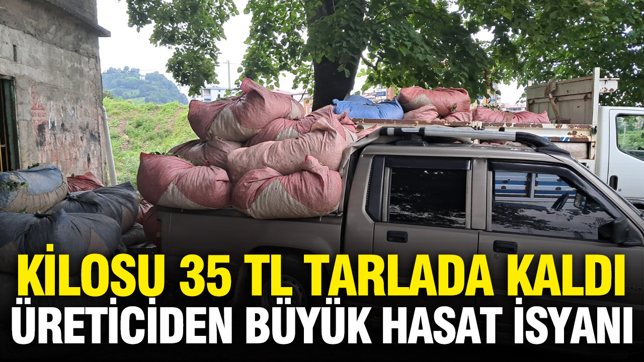 Kilosu 35 liradan tarlada satilamiyor uretici dertli FVxlbrJQ